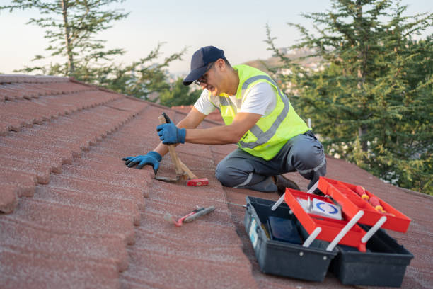 Best Roof Gutter Cleaning  in Monticello, IN
